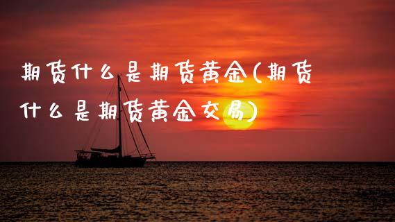 期货什么是期货黄金(期货什么是期货黄金交易)