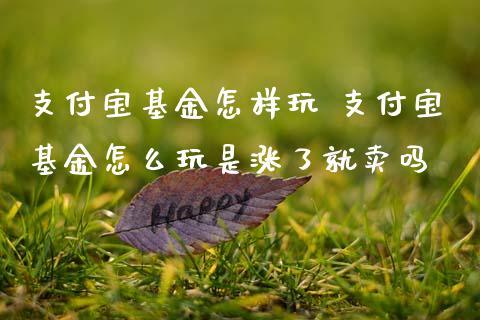 支付宝基金怎样玩 支付宝基金怎么玩是涨了就卖吗