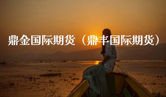 鼎金国际期货（鼎丰国际期货）