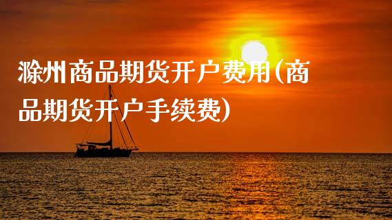 滁州商品期货开户费用(商品期货开户手续费)