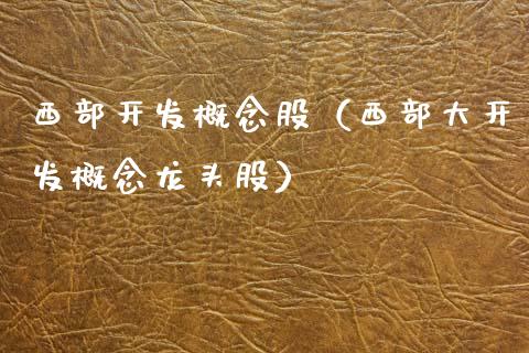 西部开发概念股（西部大开发概念龙头股）