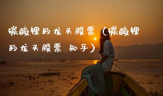 碳酸锂的龙头股票（碳酸锂的龙头股票 知乎）