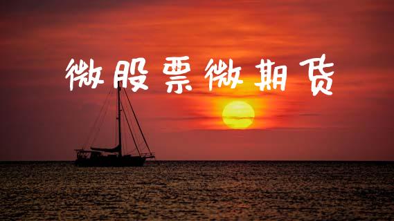 微股票微期货