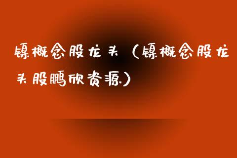 镍概念股龙头（镍概念股龙头股鹏欣资源）
