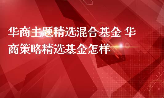 华商主题精选混合基金 华商策略精选基金怎样