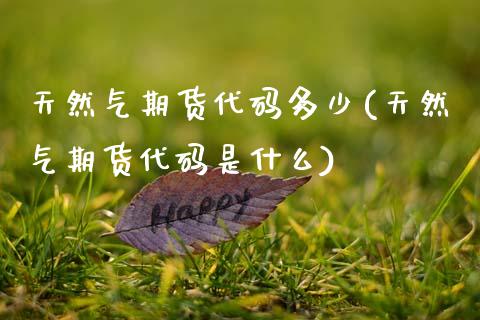 天然气期货代码多少(天然气期货代码是什么)