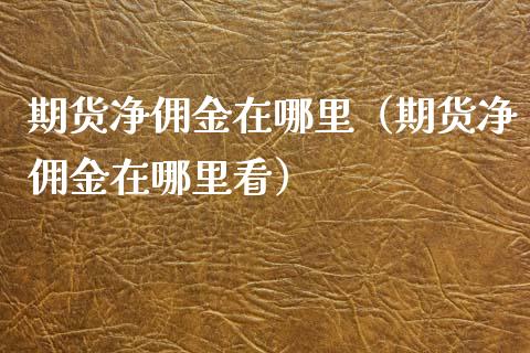 期货净佣金在哪里（期货净佣金在哪里看）