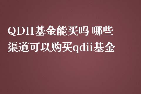 QDII基金能买吗 哪些渠道可以购买qdii基金