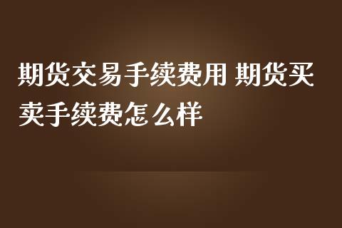 期货交易手续费用 期货买卖手续费怎么样_理财百科_第1张_宇龙理财网 期货交易手续费用 期货买卖手续费怎么样_https://www.dglong8.com_理财百科_第1张