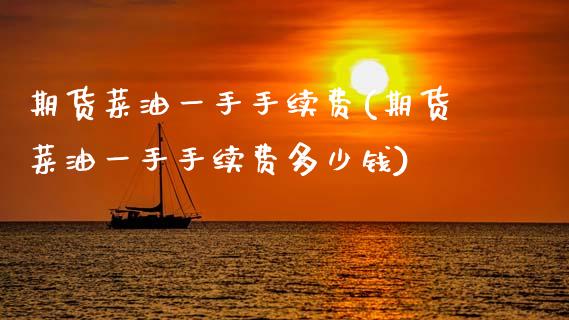 期货菜油一手手续费(期货菜油一手手续费多少钱)