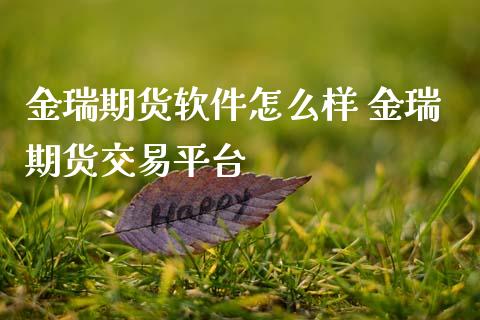 金瑞期货软件怎么样 金瑞期货交易平台