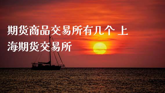 期货商品交易所有几个 上海期货交易所