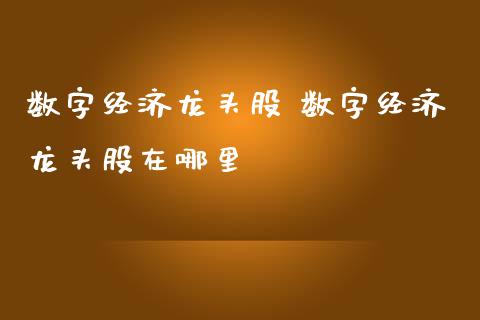 数字经济龙头股 数字经济龙头股在哪里