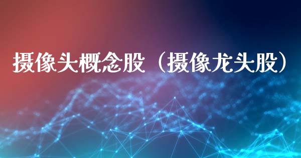 头概念股（龙头股）