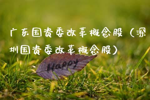 广东概念股（深圳概念股）