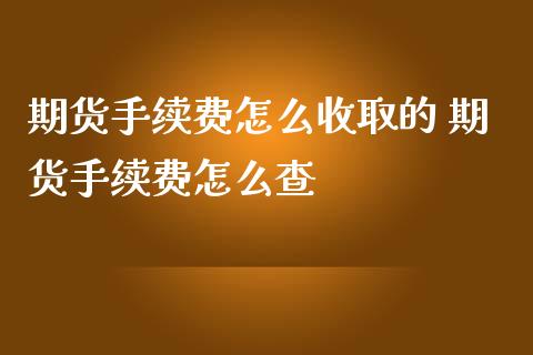 期货手续费怎么收取的 期货手续费怎么查