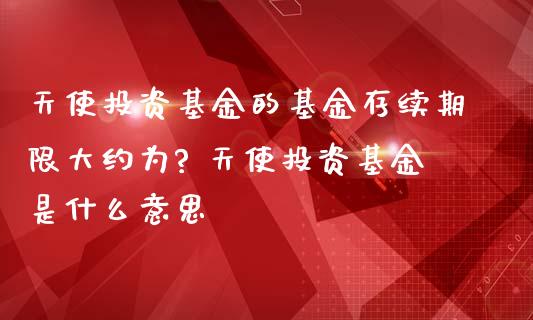 天使投资基金的基金存续期限大约为? 天使投资基金是什么意思