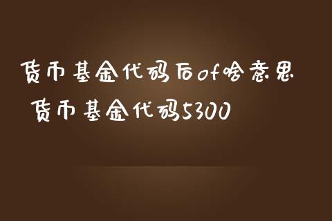 货币基金代码后of啥意思 货币基金代码5300