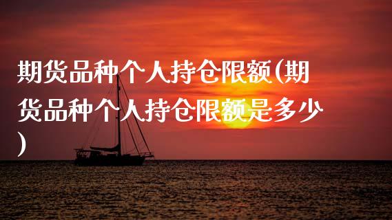 期货品种个人持仓限额(期货品种个人持仓限额是多少)