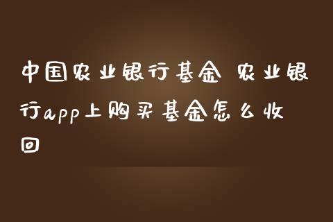 中国农业银行基金 农业银行app上购买基金怎么收回
