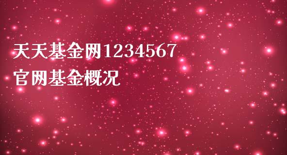 天天基金网1234567基金概况