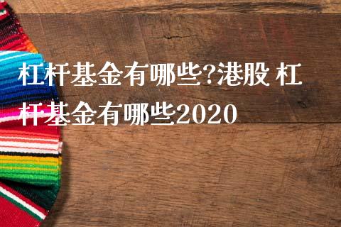 杠杆基金有哪些?港股 杠杆基金有哪些2020_基金理财_第1张_宇龙理财网 杠杆基金有哪些?港股 杠杆基金有哪些2020_https://www.dglong8.com_基金理财_第1张
