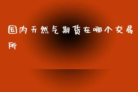 国内天然气期货在哪个交易所