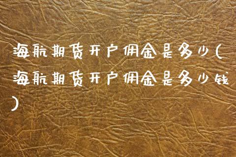 海航期货开户佣金是多少(海航期货开户佣金是多少钱)