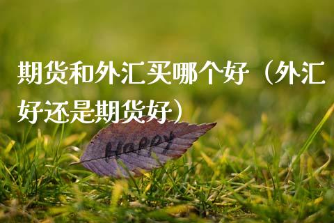 期货和外汇买哪个好（外汇好还是期货好）