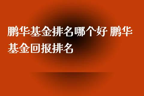 鹏华基金排名哪个好 鹏华基金回报排名_https://www.dglong8.com_基金理财_第1张