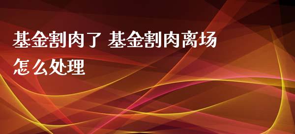 基金割肉了 基金割肉离场怎么处理_基金理财_第1张_宇龙理财网 基金割肉了 基金割肉离场怎么处理_https://www.dglong8.com_基金理财_第1张