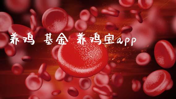 养鸡 基金 养鸡宝app