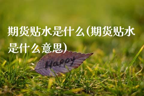 期货贴水是什么(期货贴水是什么意思)