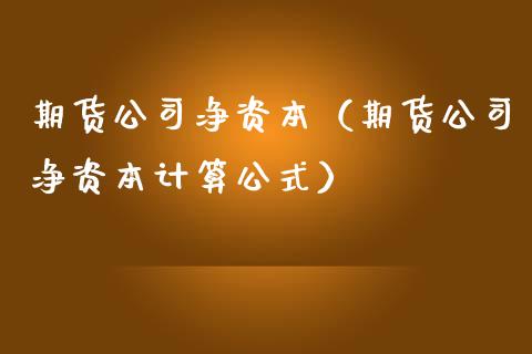 期货公司净资本（期货公司净资本计算公式）