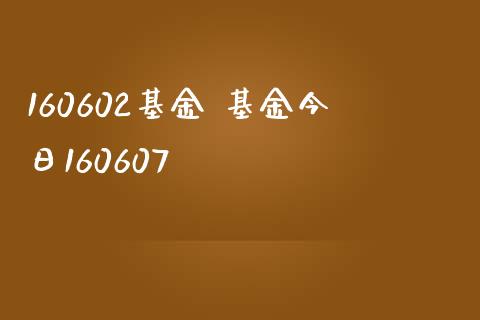 160602基金 基金今日160607