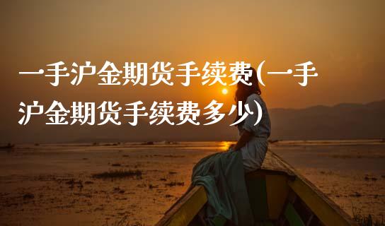 一手沪金期货手续费(一手沪金期货手续费多少)