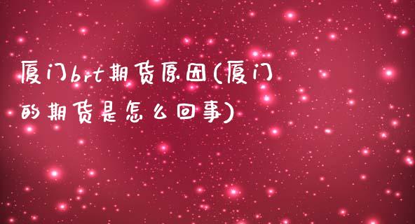 厦门brt期货原因(厦门的期货是怎么回事)