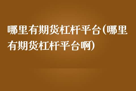 哪里有期货杠杆平台(哪里有期货杠杆平台啊)