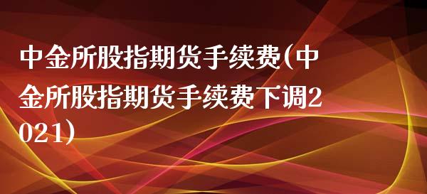 所股指期货手续费(所股指期货手续费下调2021)