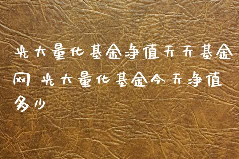 光大量化基金净值天天基金网 光大量化基金今天净值多少