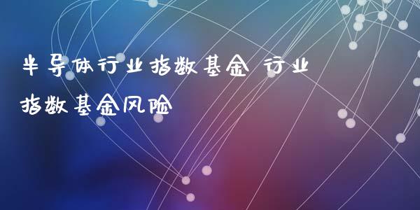 半导体行业指数基金 行业指数基金风险