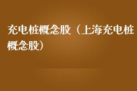 充电桩概念股（上海充电桩概念股）