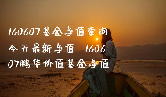 160607基金净值查询今天最新净值  160607鹏华价值基金净值