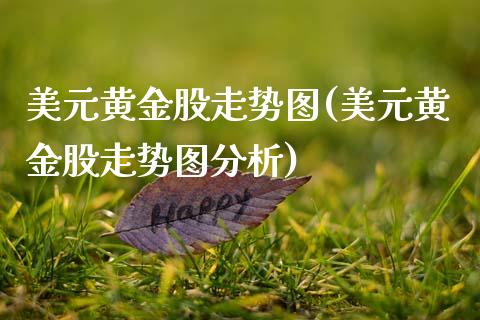 美元黄金股走势图(美元黄金股走势图分析)