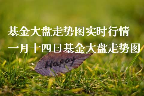 基金大盘走势图实时行情 一月十四日基金大盘走势图_https://www.dglong8.com_基金理财_第1张