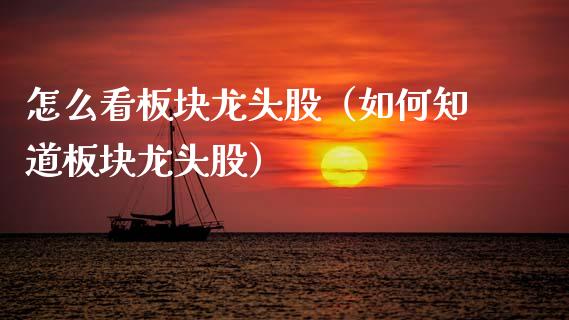 怎么看板块龙头股（如何知道板块龙头股）_https://www.dglong8.com_财经要闻_第1张