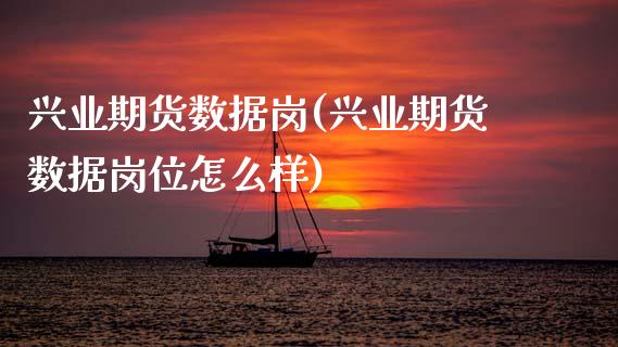 兴业期货数据岗(兴业期货数据岗位怎么样)