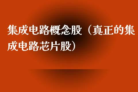 集成电路概念股(真正的集成电路芯片股)_股票理财_第1张_宇龙理财网 集成电路概念股(真正的集成电路芯片股)_https://www.dglong8.com_股票理财_第1张
