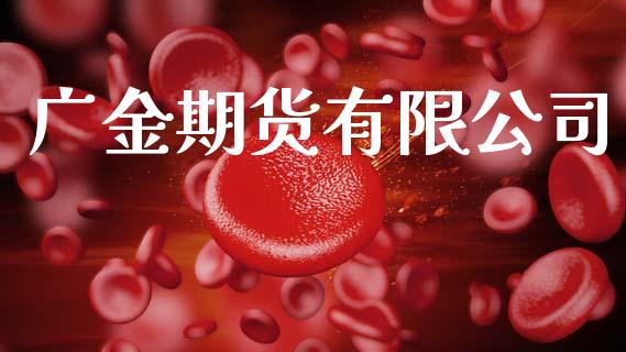 广金期货有限公司