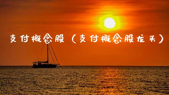 支付概念股（支付概念股龙头）_https://www.dglong8.com_股票理财_第1张